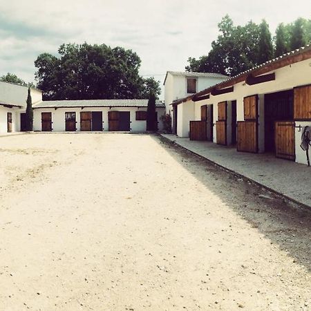 Maison Au Milieu Des Chevaux LʼIsle-sur-la-Sorgue Exterior foto