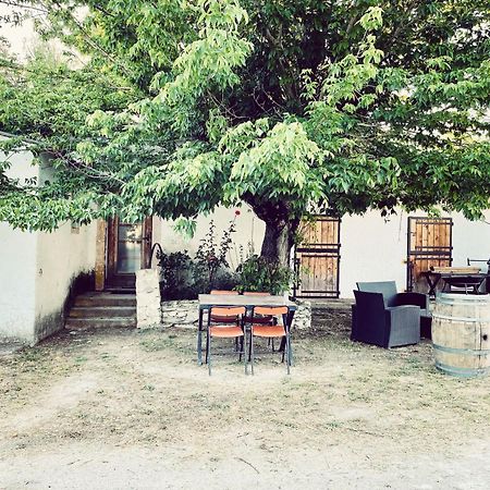 Maison Au Milieu Des Chevaux LʼIsle-sur-la-Sorgue Exterior foto