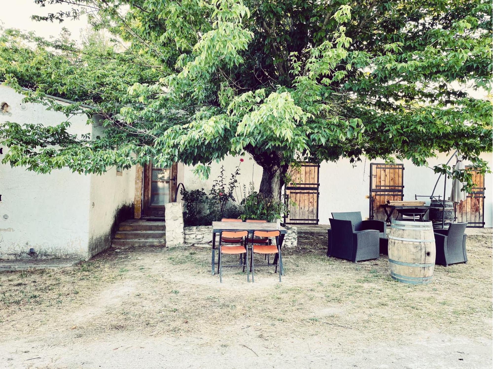 Maison Au Milieu Des Chevaux LʼIsle-sur-la-Sorgue Exterior foto